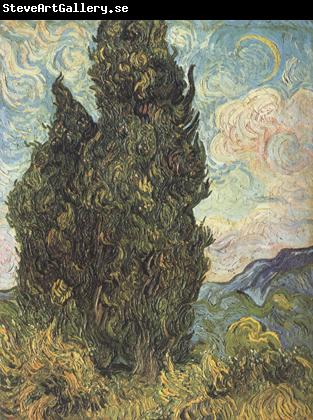 Vincent Van Gogh Cypresses (nn04)